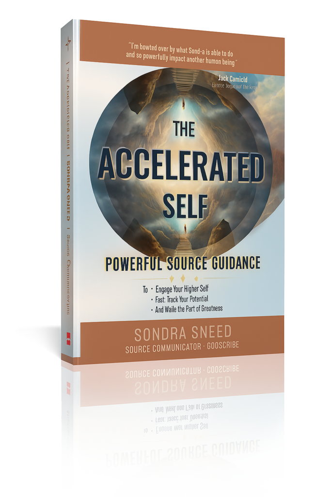 the accelerated self book cover transbg