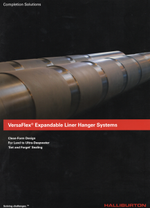 versaflex07 scaled.png